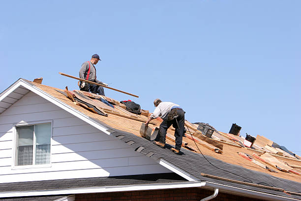 Roof Coating Services in Califon, NJ